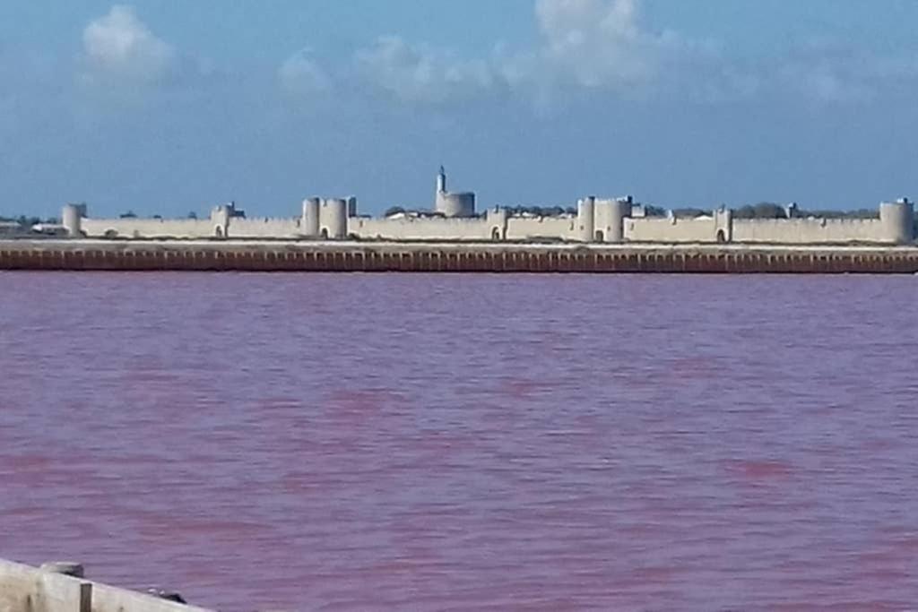 Solimany Saint-Gilles  Ngoại thất bức ảnh